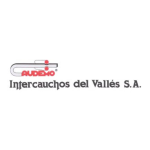 cecofersa_logotipos_INTERCAUCHOS_DEL_VALLES
