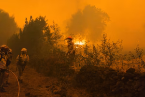 Fundación Txema Elorza, ayuda incendios